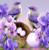 Birds Nest & Flowers